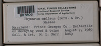 Image Associated With the Occurence